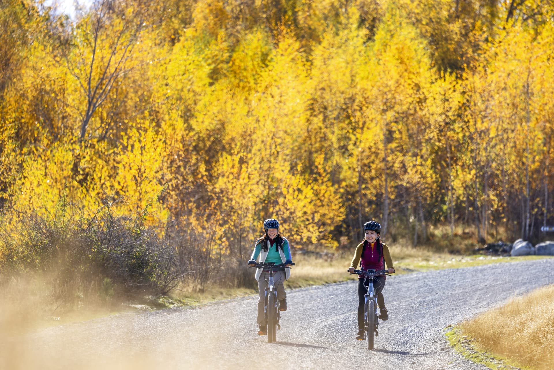 New Zealand in Autumn: Best Places to See the Colours and Explore